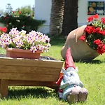 Panorama & Daire Ammoudi
